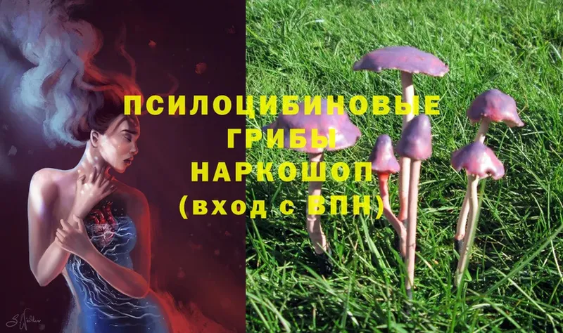 Галлюциногенные грибы Psilocybine cubensis Нижняя Салда